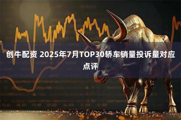 创牛配资 2025年7月TOP30轿车销量投诉量对应点评