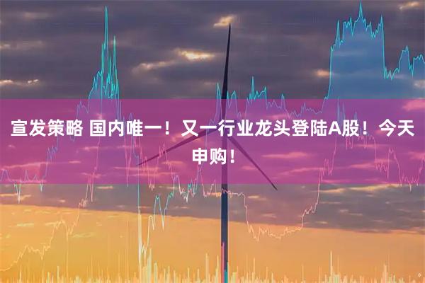 宣发策略 国内唯一！又一行业龙头登陆A股！今天申购！